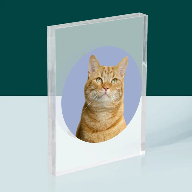 Photo: Ton Chat - Bloc Acrylique