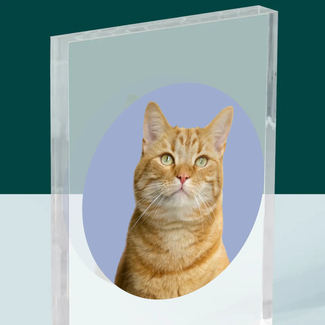 Photo: Ton Chat - Bloc Acrylique
