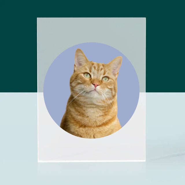 Photo: Ton Chat - Bloc Acrylique