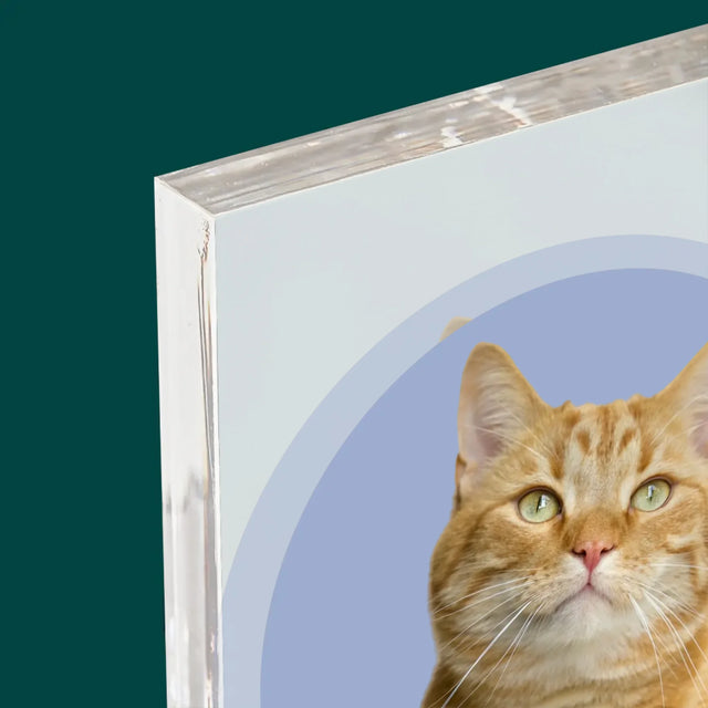 Photo: Ton Chat - Bloc Acrylique